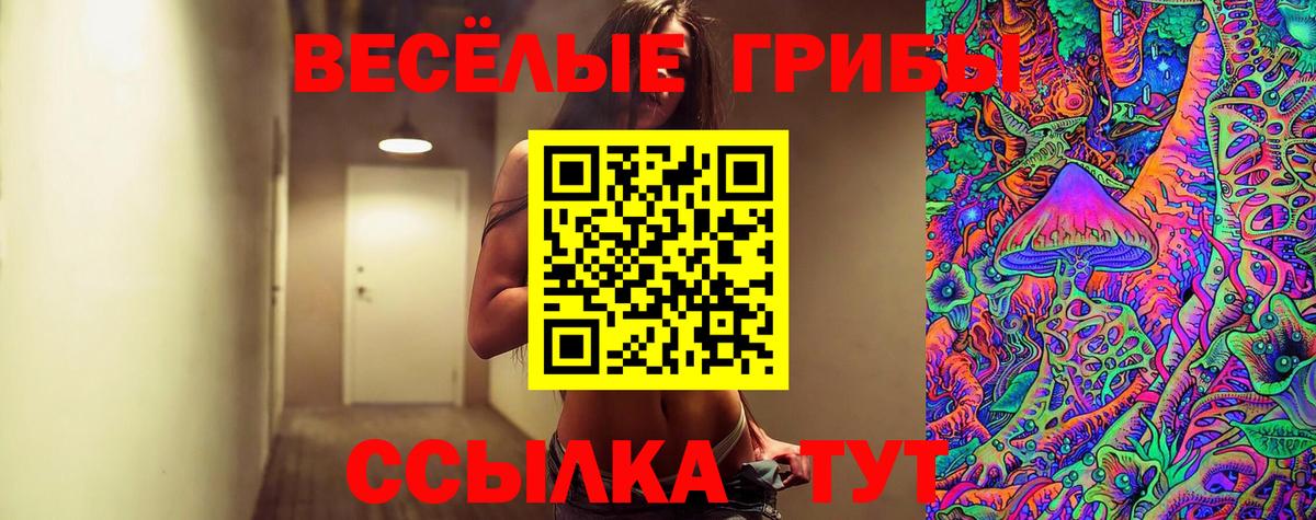 Галлюциногенные грибы Psilocybine cubensis  Вход с VPN  Альметьевск 